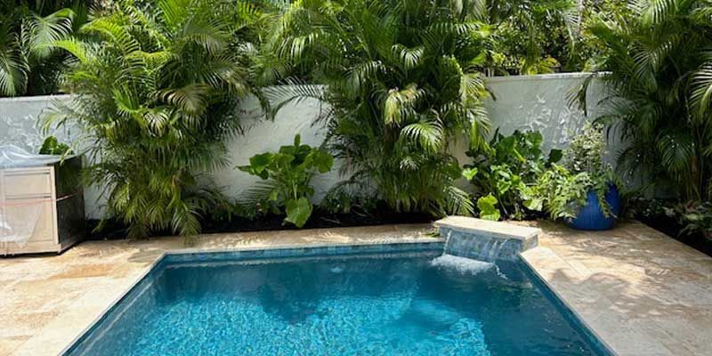 A small swimming pool surrounded by palm trees in a backyard.