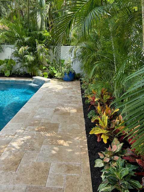 A swimming pool surrounded by tropical plants and trees.