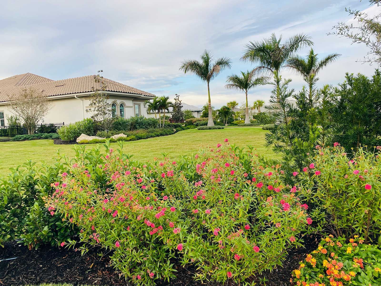 A house with a lot of flowers in front of it