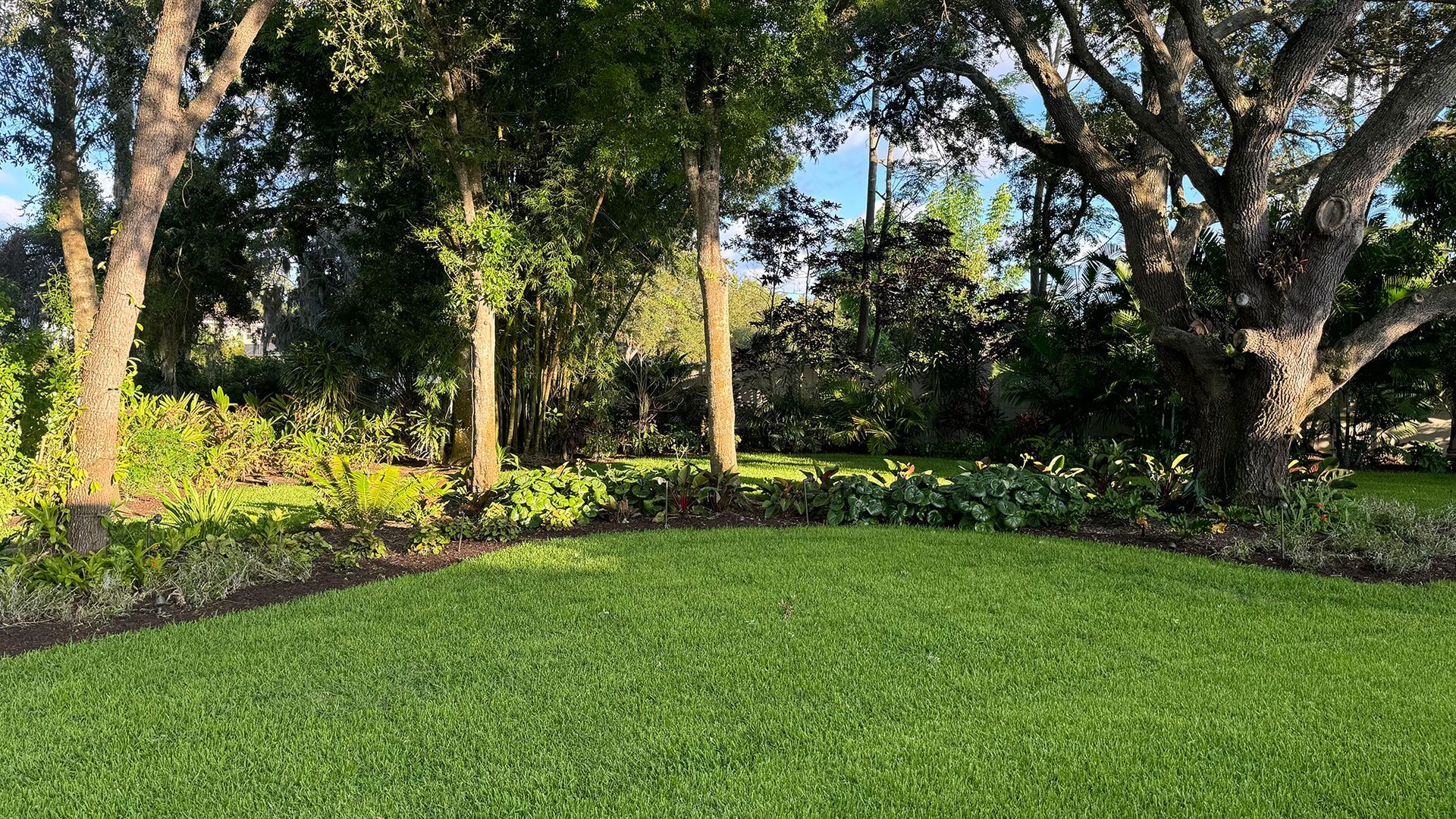 A lush green lawn surrounded by trees on a sunny day.
