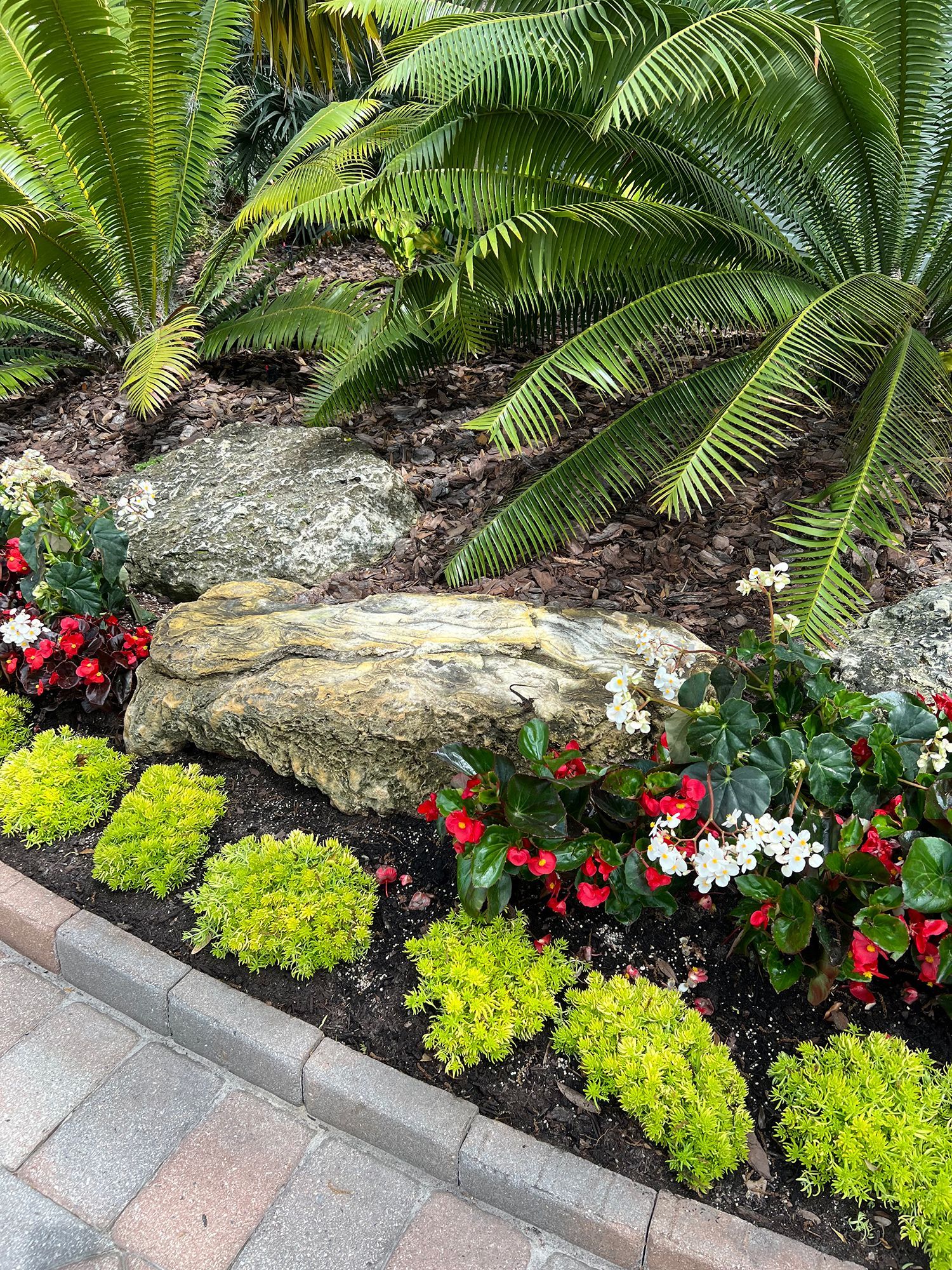 A garden filled with lots of flowers and plants.