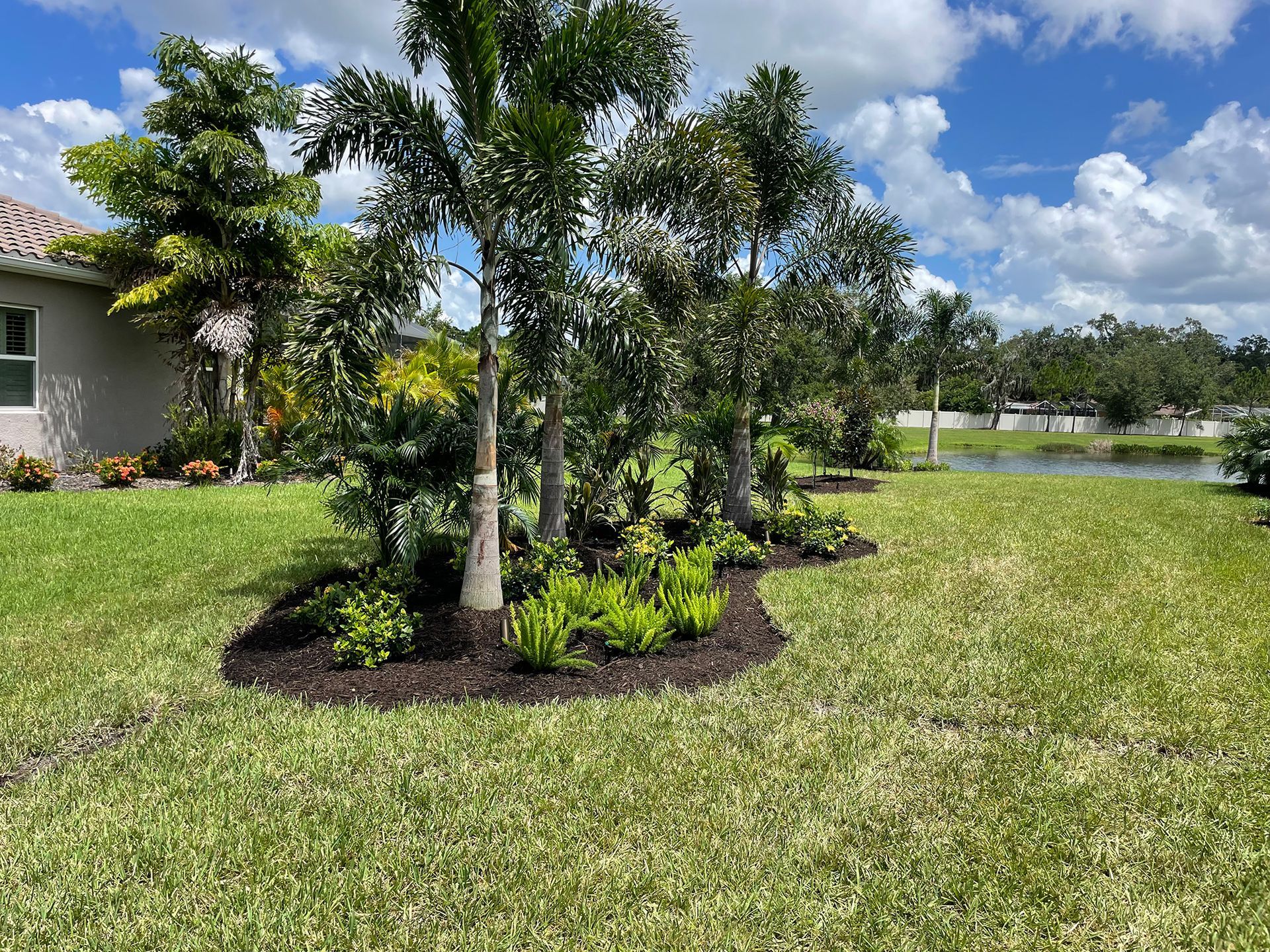 A lush green lawn with trees and bushes in front of a house.