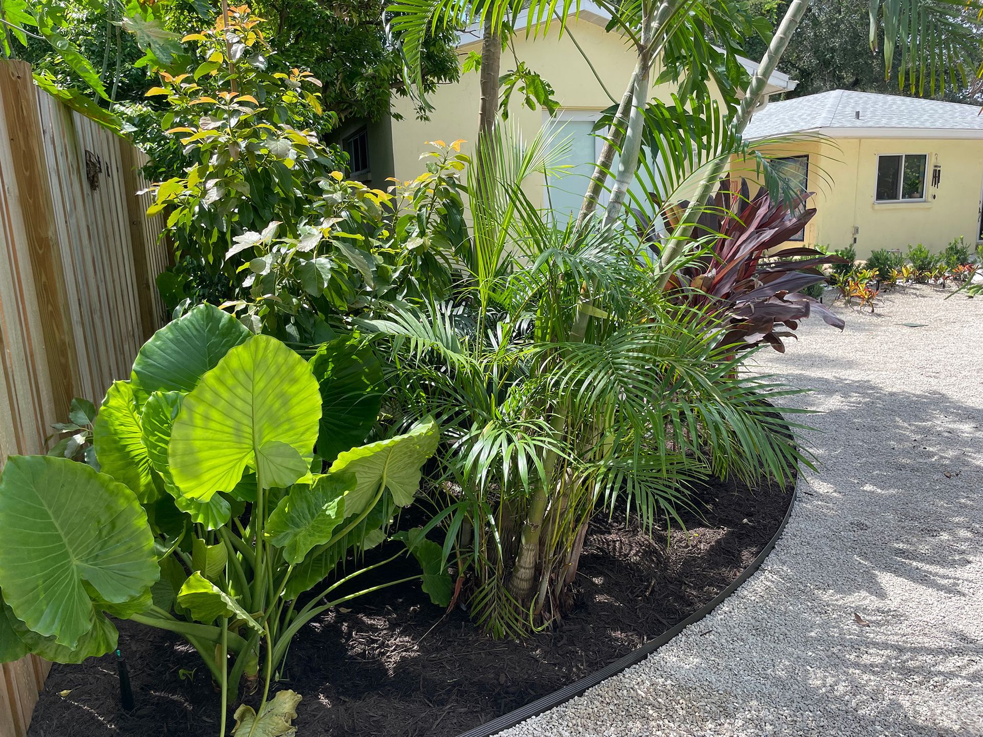 A garden with lots of plants and trees in front of a house.