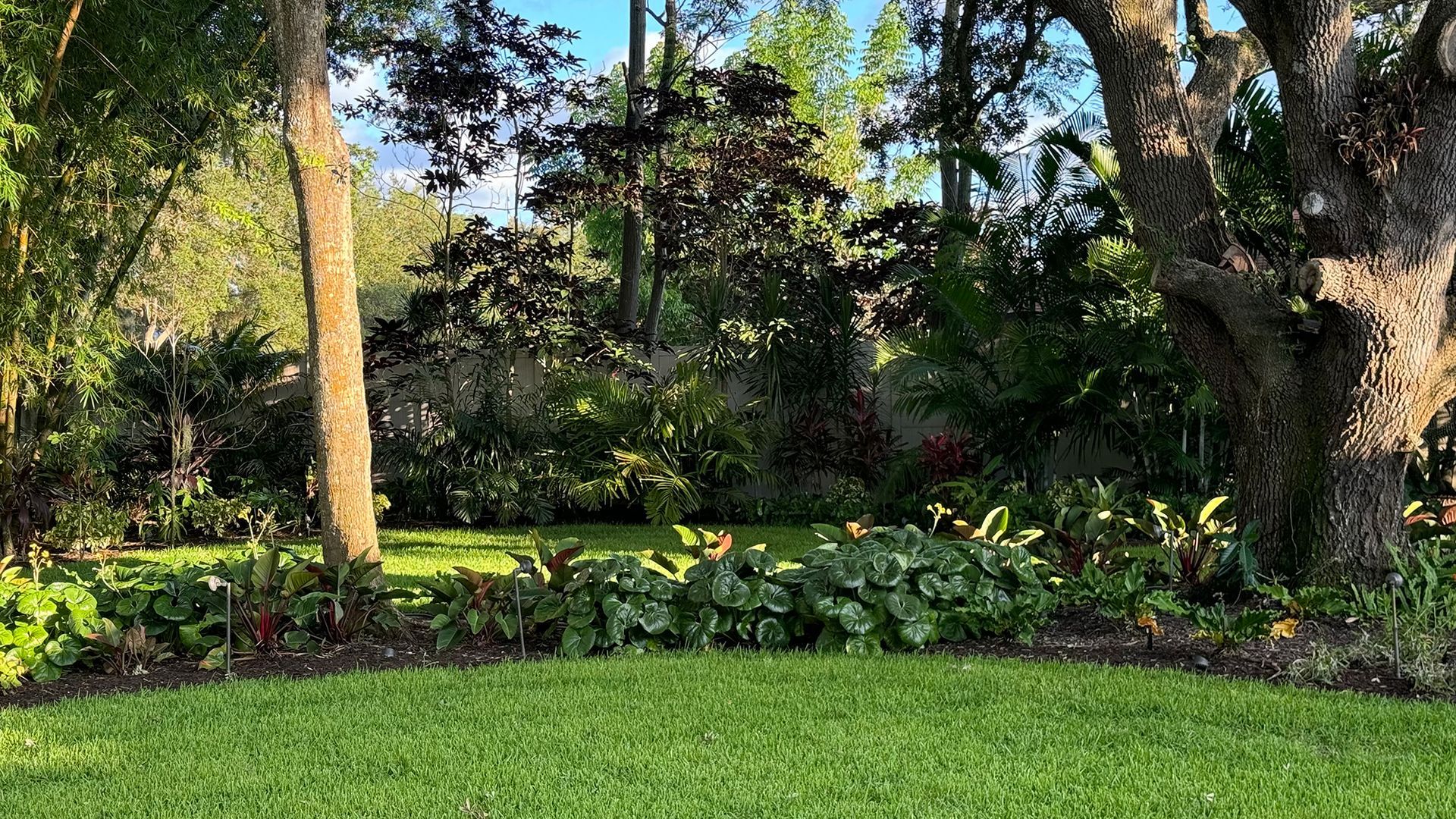 A lush green lawn surrounded by trees and bushes in a park.