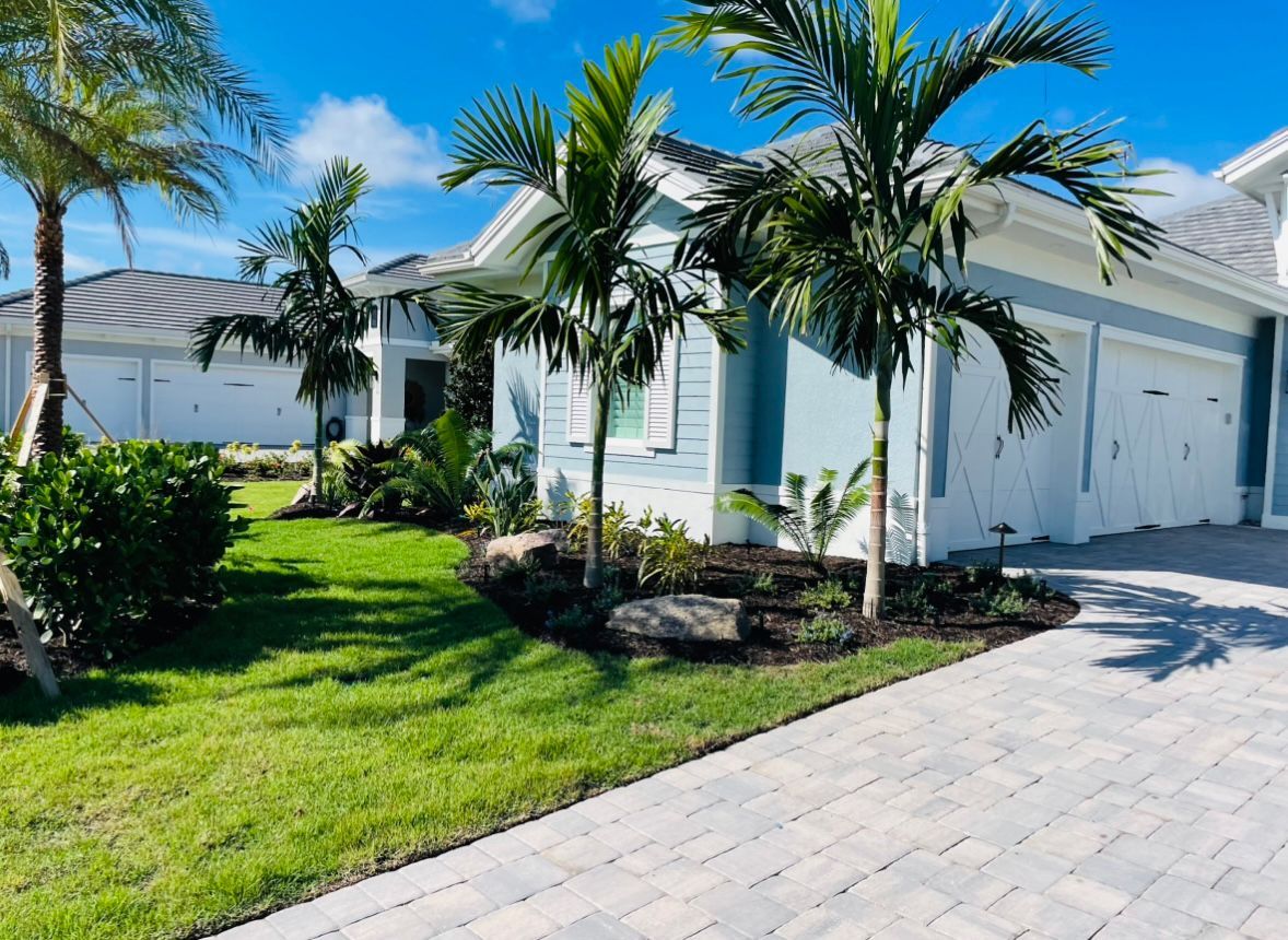 A house with palm trees in front of it and a driveway.