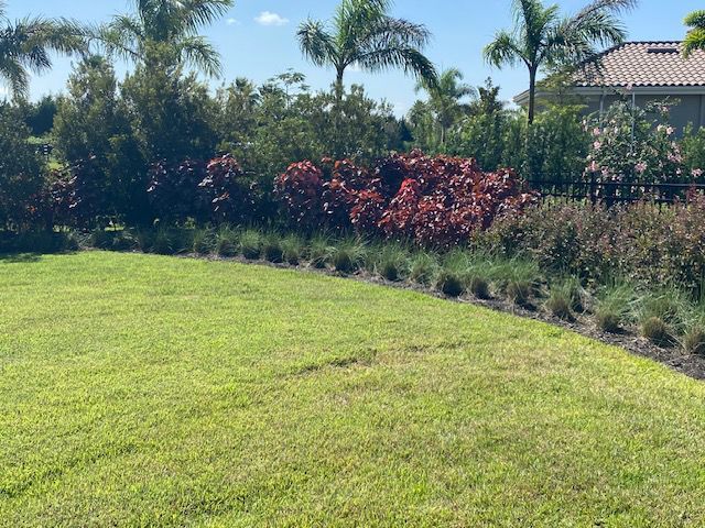 A lush green lawn with bushes and trees in the background