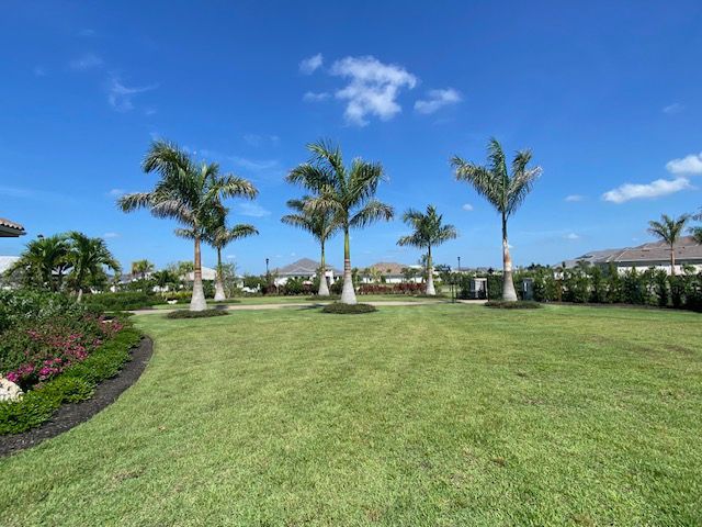 A lush green lawn surrounded by palm trees on a sunny day.