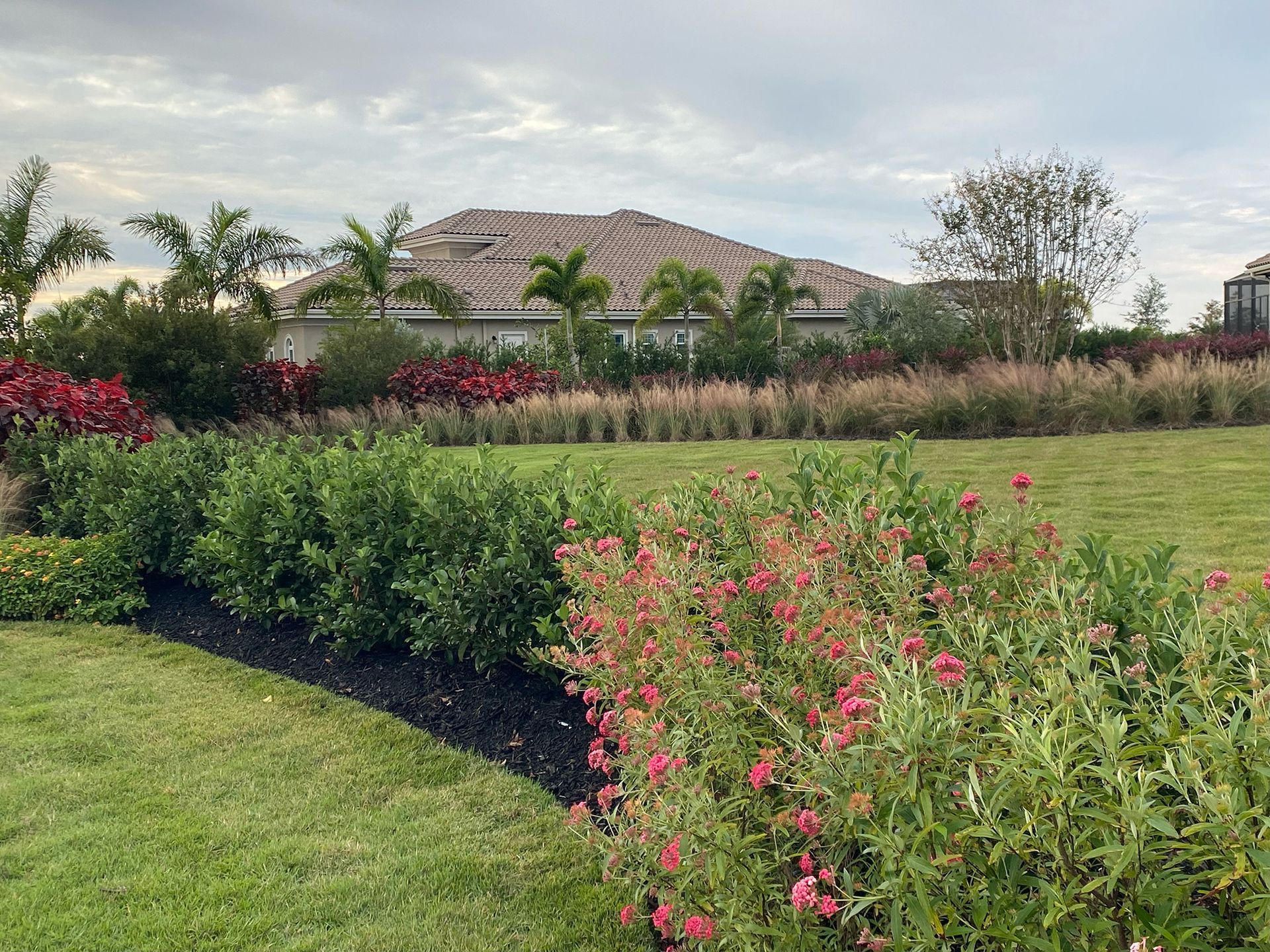 A lush green field with flowers and bushes in the foreground and a house in the background.