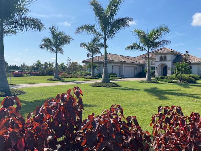 Large house with palm trees, green lawn, and red foliage on a sunny day.