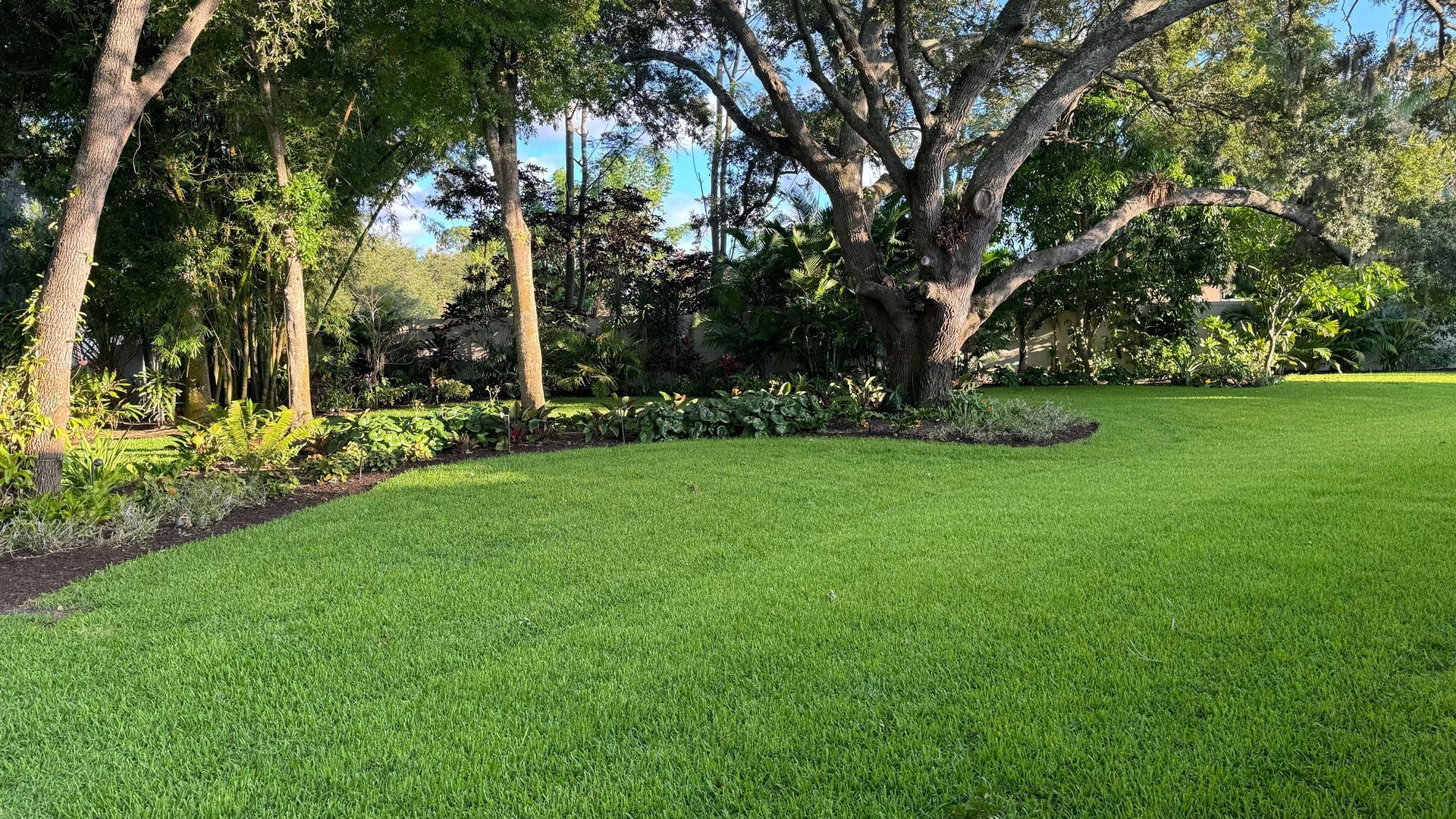 Lush green lawn with a mature tree, edged by a garden bed, under a sunny sky.