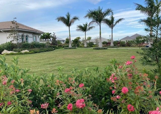 Lush green lawn and pink flowers with palm trees and houses under a blue sky.