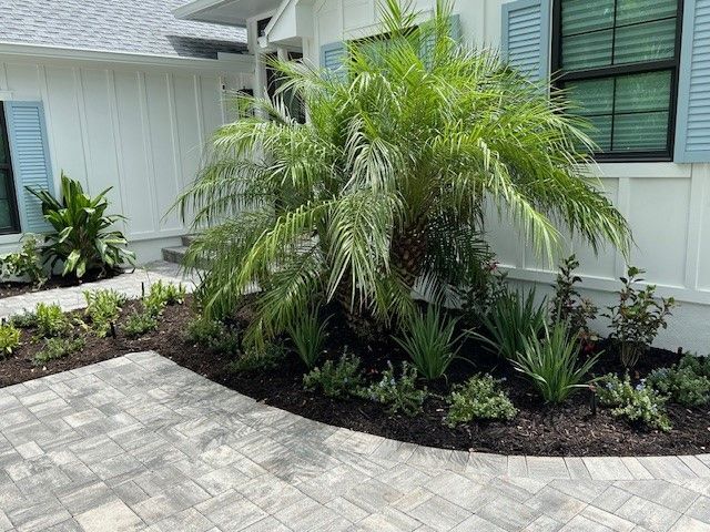 Palm tree and landscaping in front of a white house with blue shutters and brick paving.