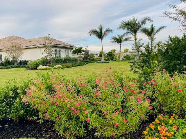 Lush green lawn with pink flowering bushes in front of a beige house and palm trees under a cloudy sky.