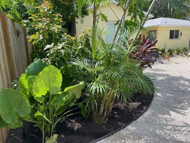 Garden bed with lush green foliage and a yellow building in the background.