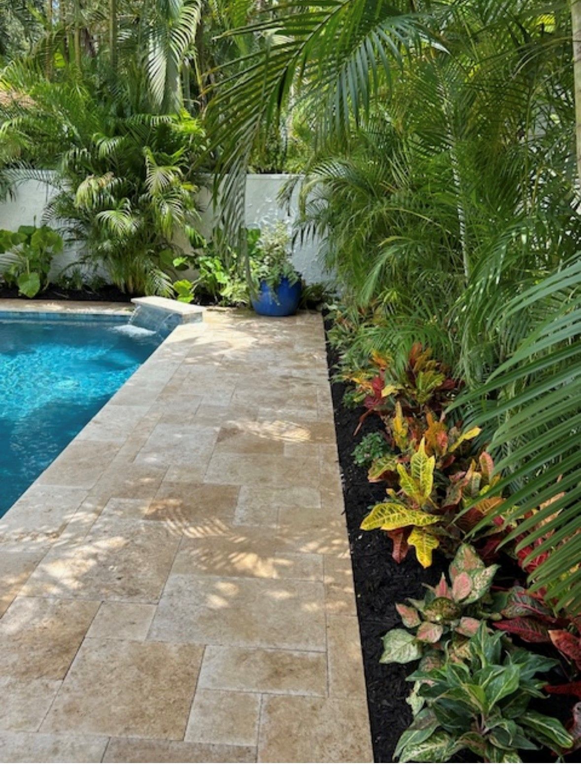 Poolside garden with colorful foliage, stone path, and vibrant blue water.