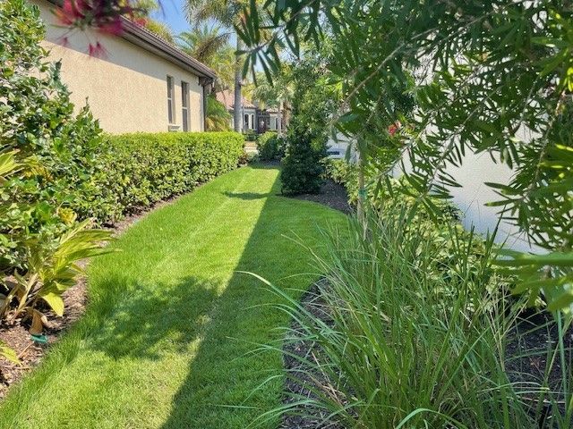 A lush green lawn bordered by trimmed hedges and shrubs. Houses are in the background.