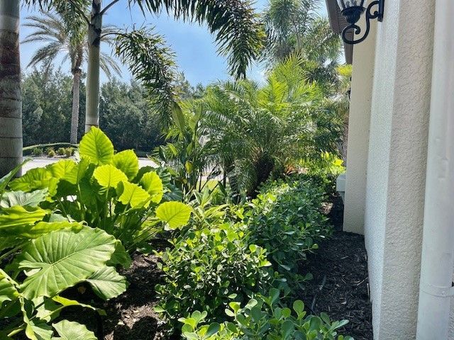 Lush green garden with large-leafed plants and palm trees against a white wall under a blue sky.
