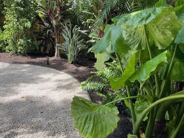 Gravel pathway curves past lush tropical plants with large green leaves.