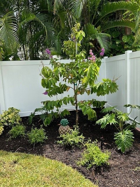 A small tree and various plants in a garden bed, bordered by a white fence.