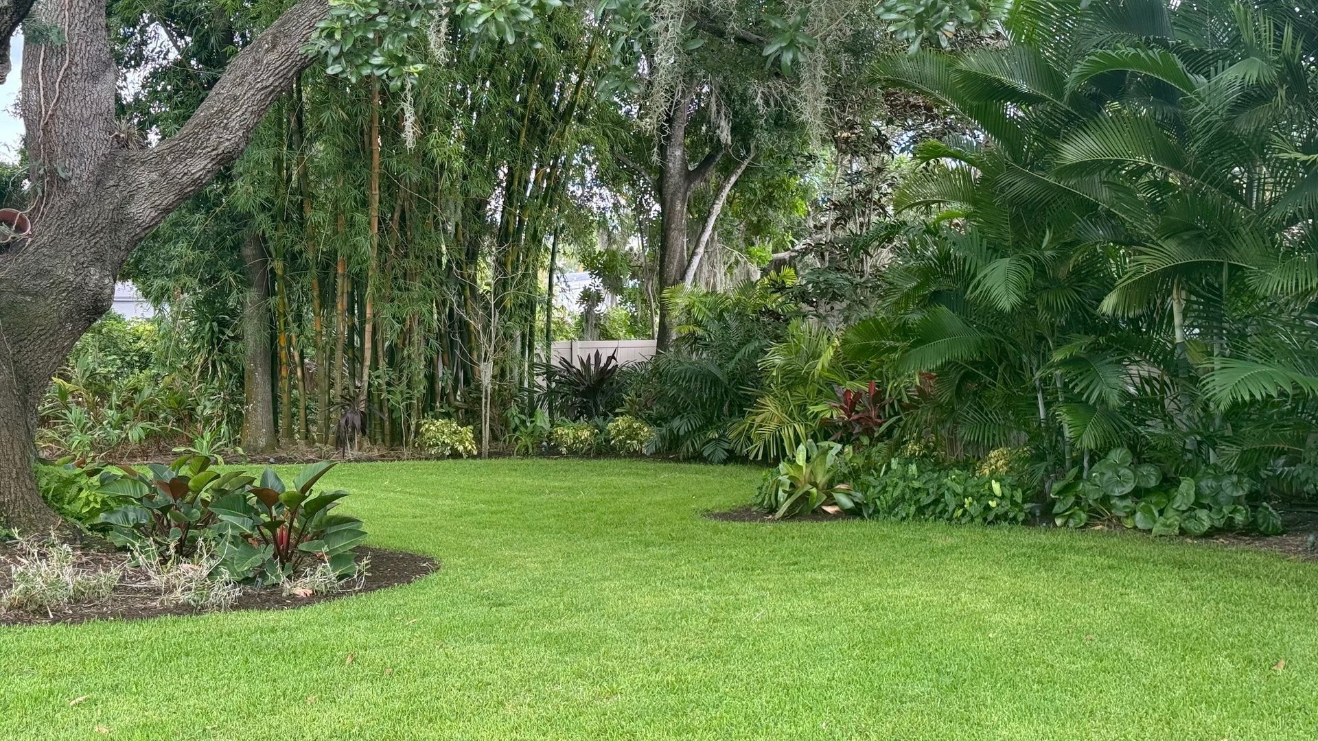 Lush green lawn surrounded by trees and tropical plants; sunny day.