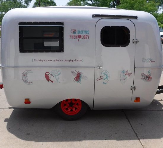 A small silver camper trailer with colorful nature-themed graphics and a red wheel.