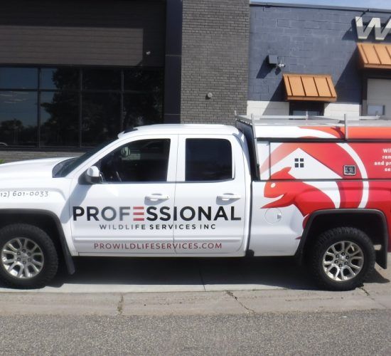 White pickup truck with 