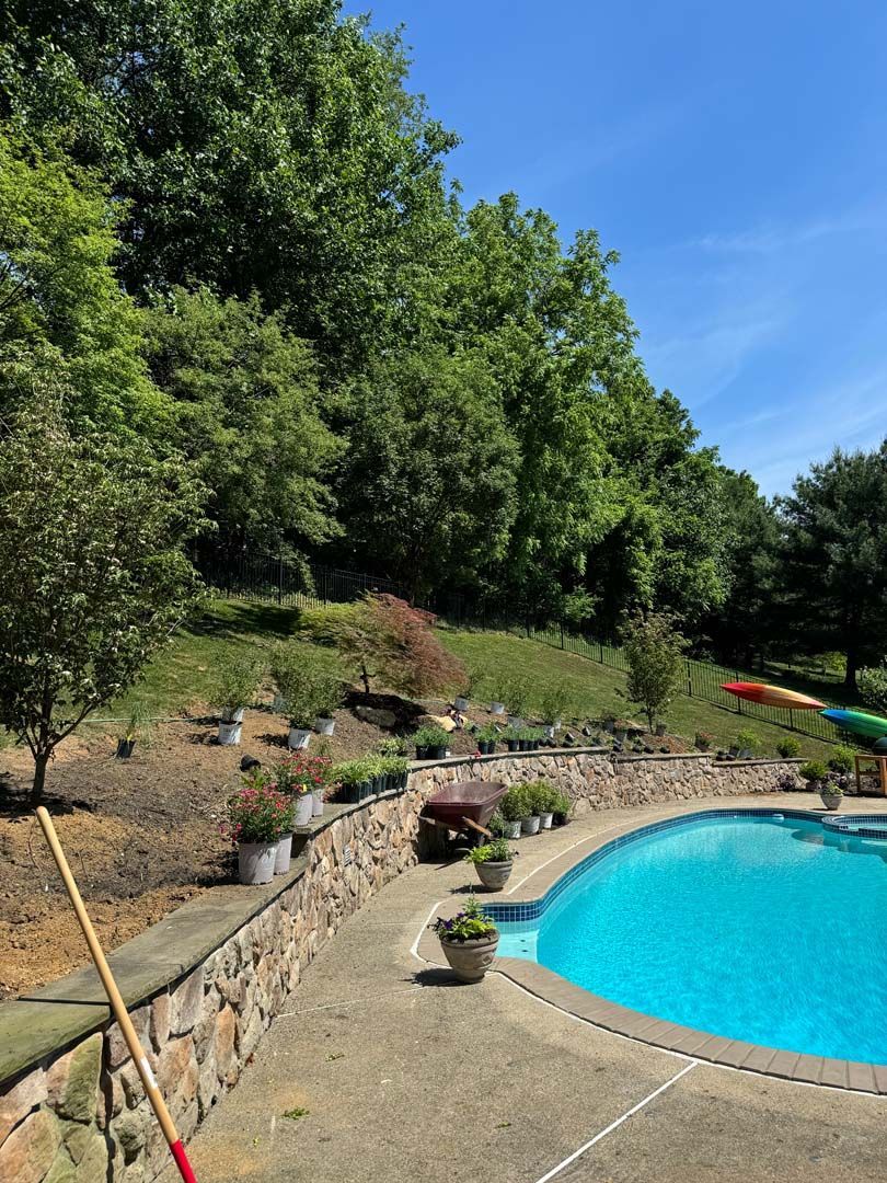 A large swimming pool surrounded by trees and a stone wall.