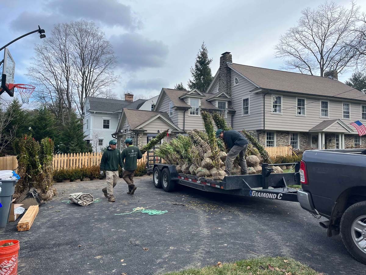A truck is pulling a trailer full of trees in front of a house.