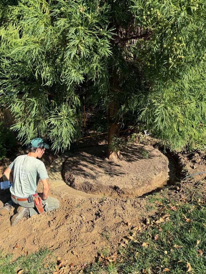 A man is kneeling in the dirt next to a large tree.