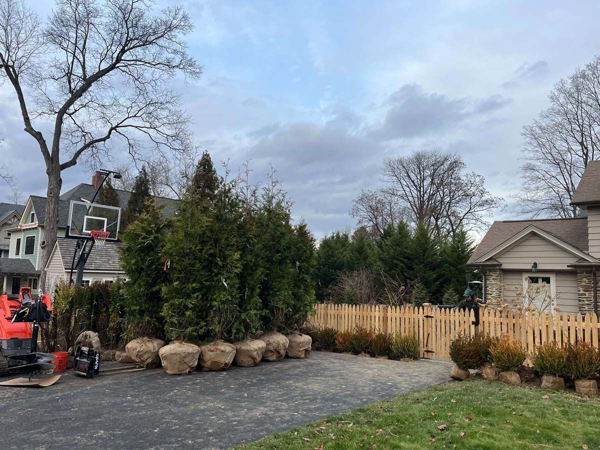 A basketball hoop is sitting in the driveway of a house surrounded by trees.