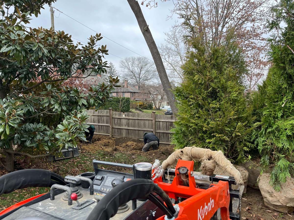 A red tractor is parked in a yard next to a tree.