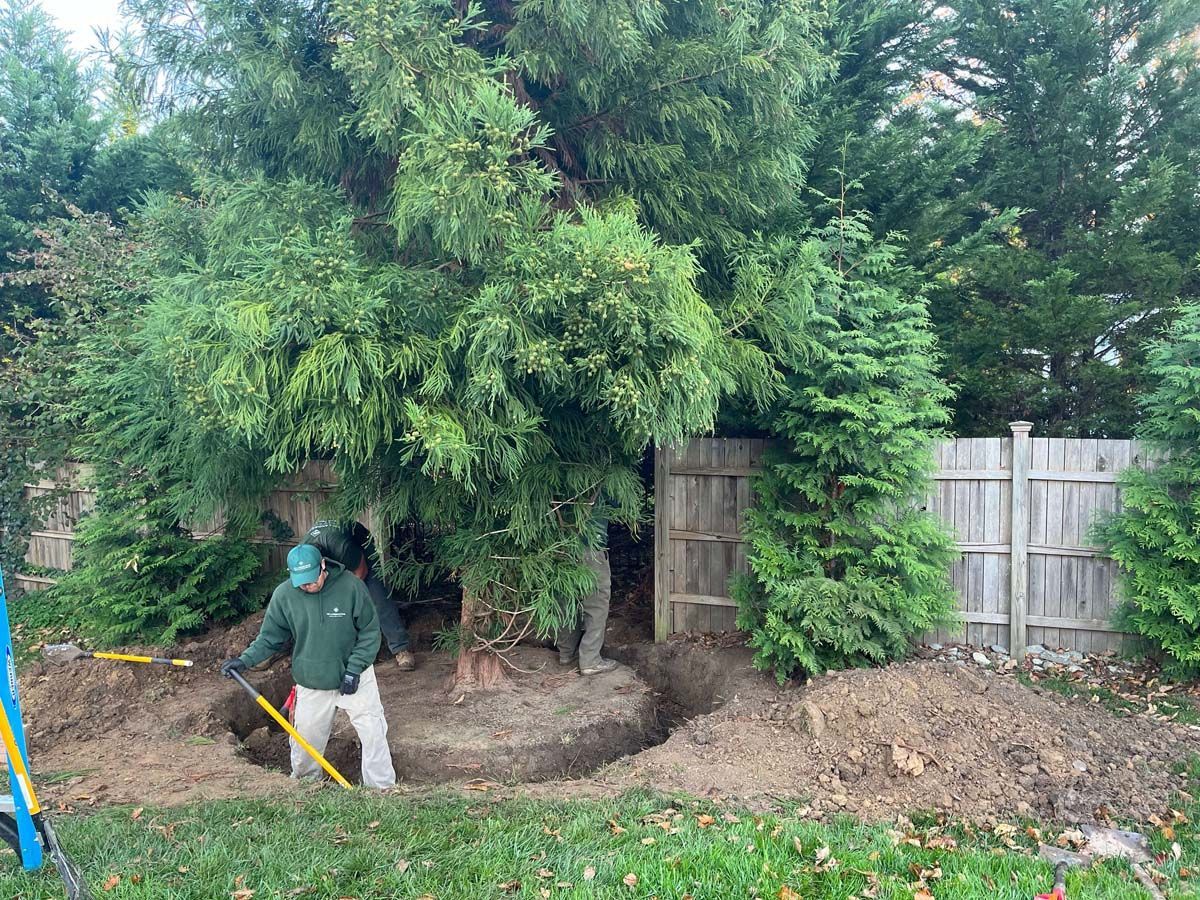 A man is digging a hole in the ground in a backyard.
