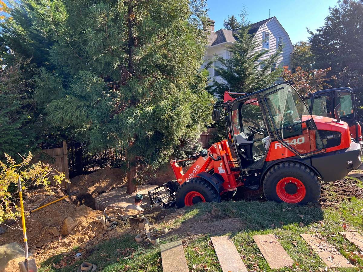 A red and black tractor is moving a tree in a yard.