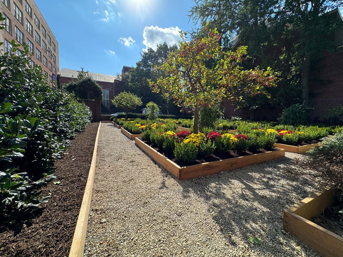 A gravel path leading to a garden with flowers and trees.