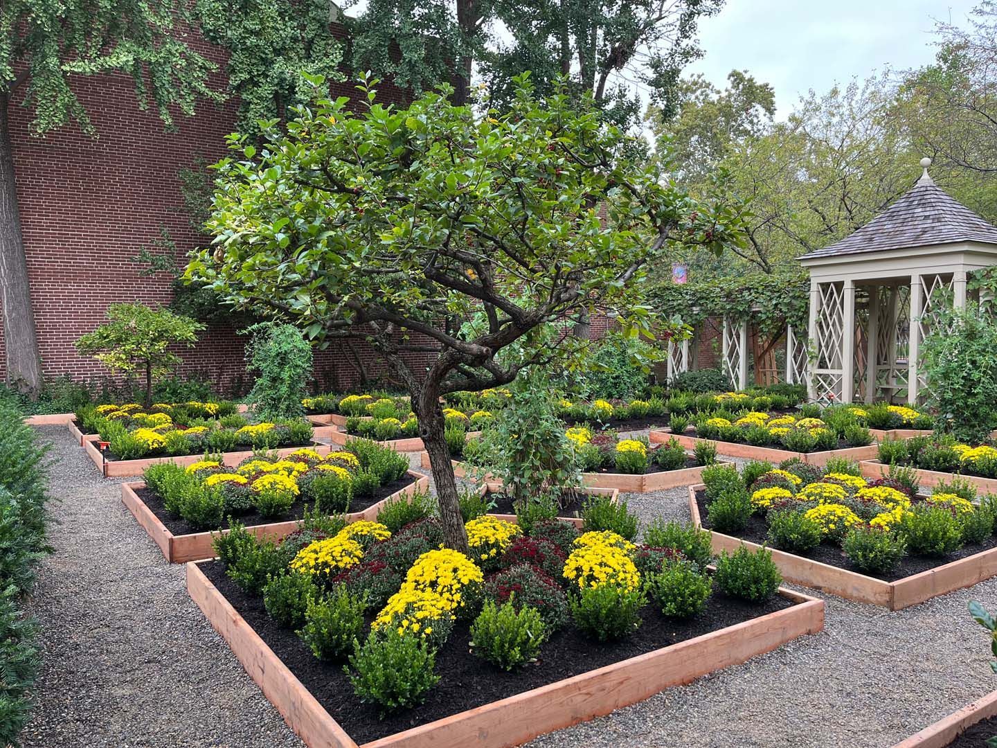 A garden filled with lots of plants and flowers with a gazebo in the background.