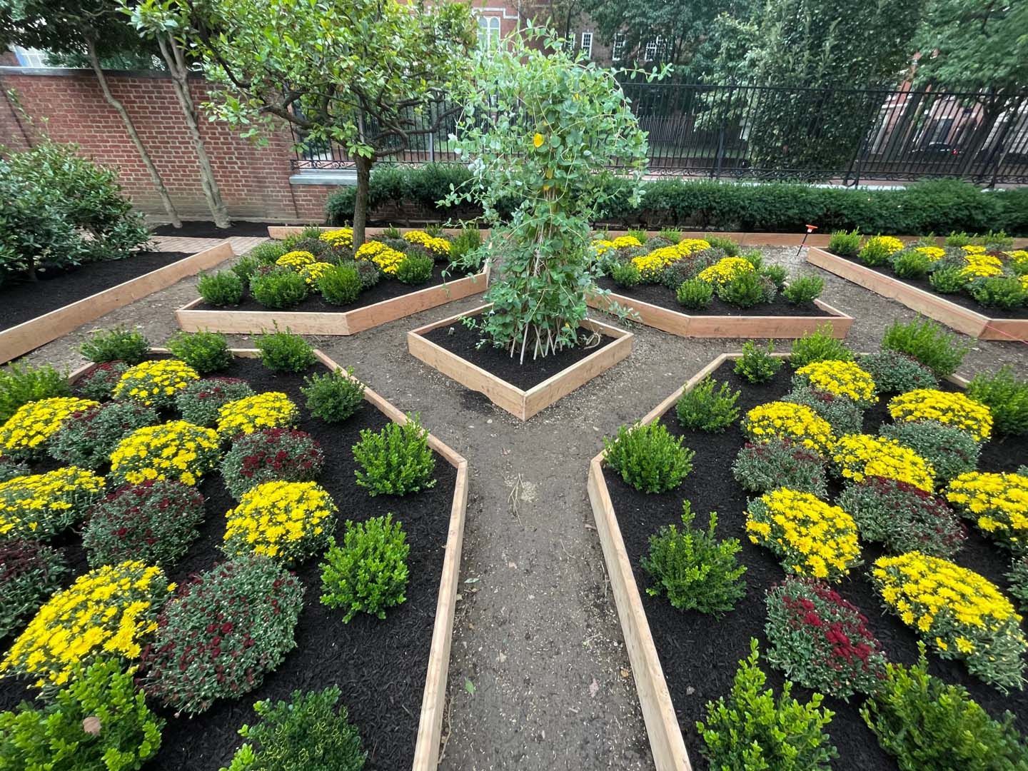 A garden filled with lots of flowers and plants