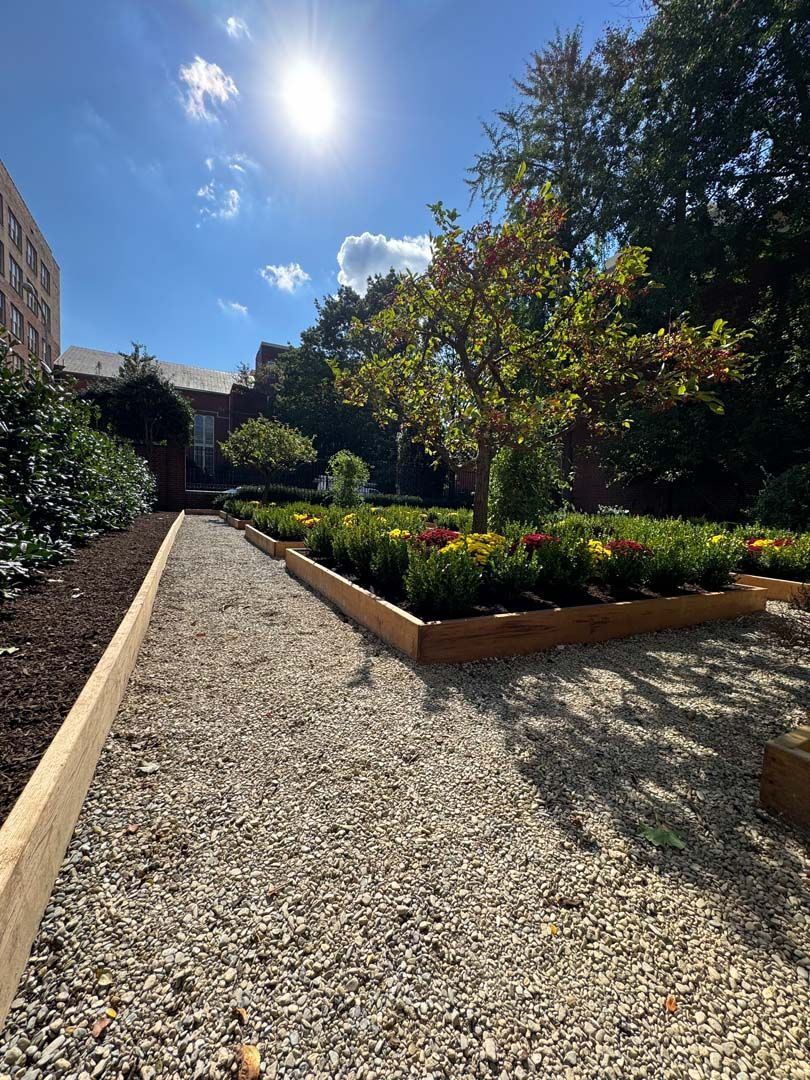 A gravel path leading to a garden with flowers and trees.
