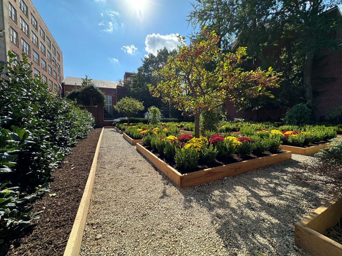 A gravel path leading to a garden with flowers and trees.