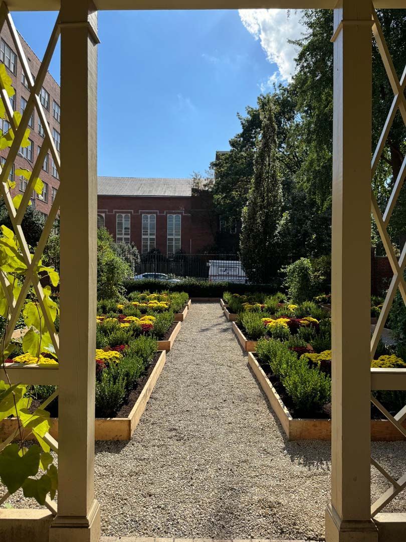 A view of a garden through a fence with a building in the background.