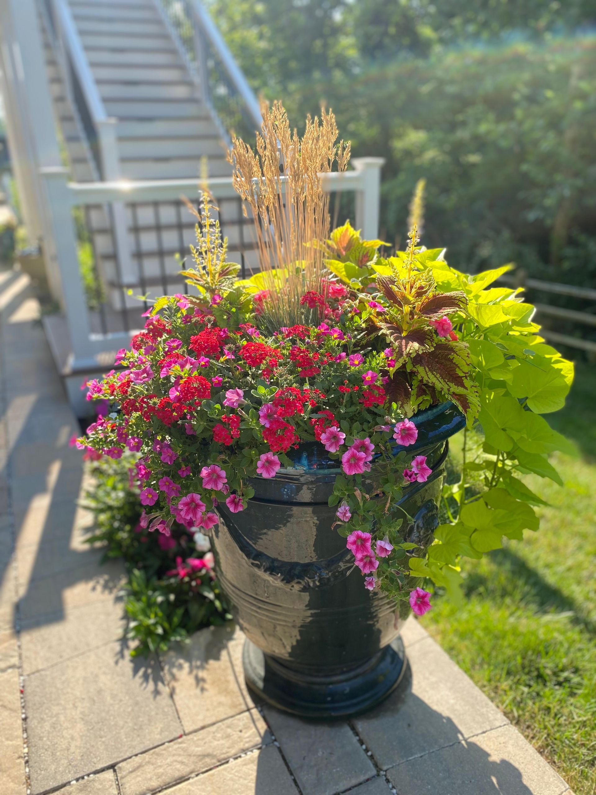 A black urn filled with pink and yellow flowers is sitting on a sidewalk.