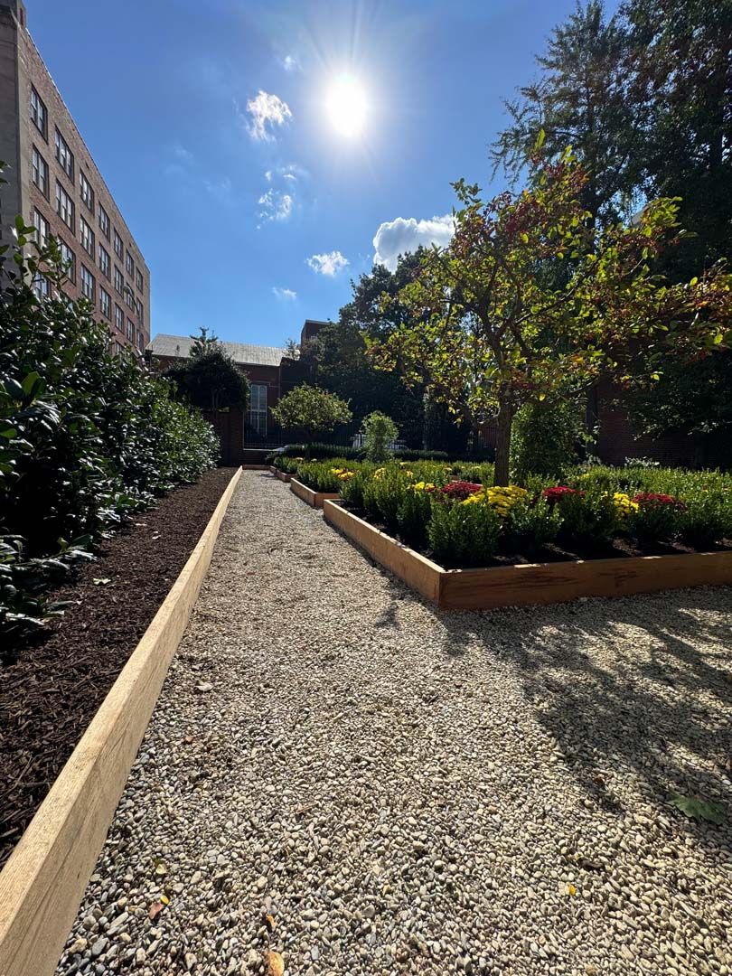 A gravel path leading to a garden with a building in the background.