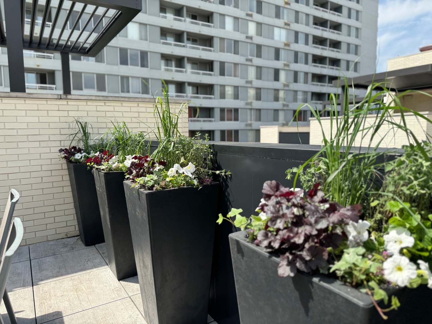 A row of black planters filled with flowers and plants on a balcony.