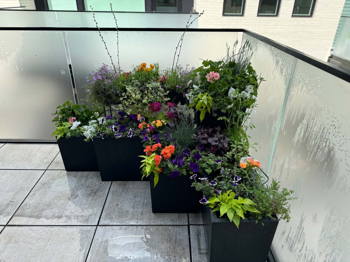 A row of black planters filled with flowers on a balcony.
