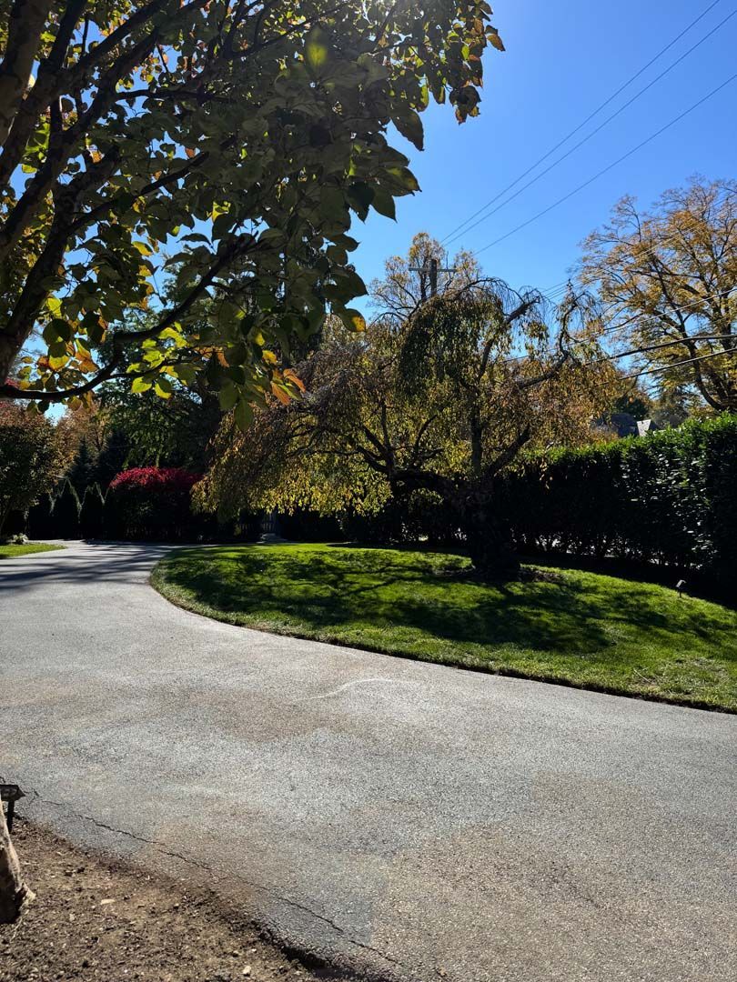 A road that is surrounded by trees and grass on a sunny day