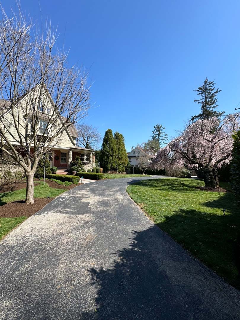 A driveway leading to a house with trees on both sides.