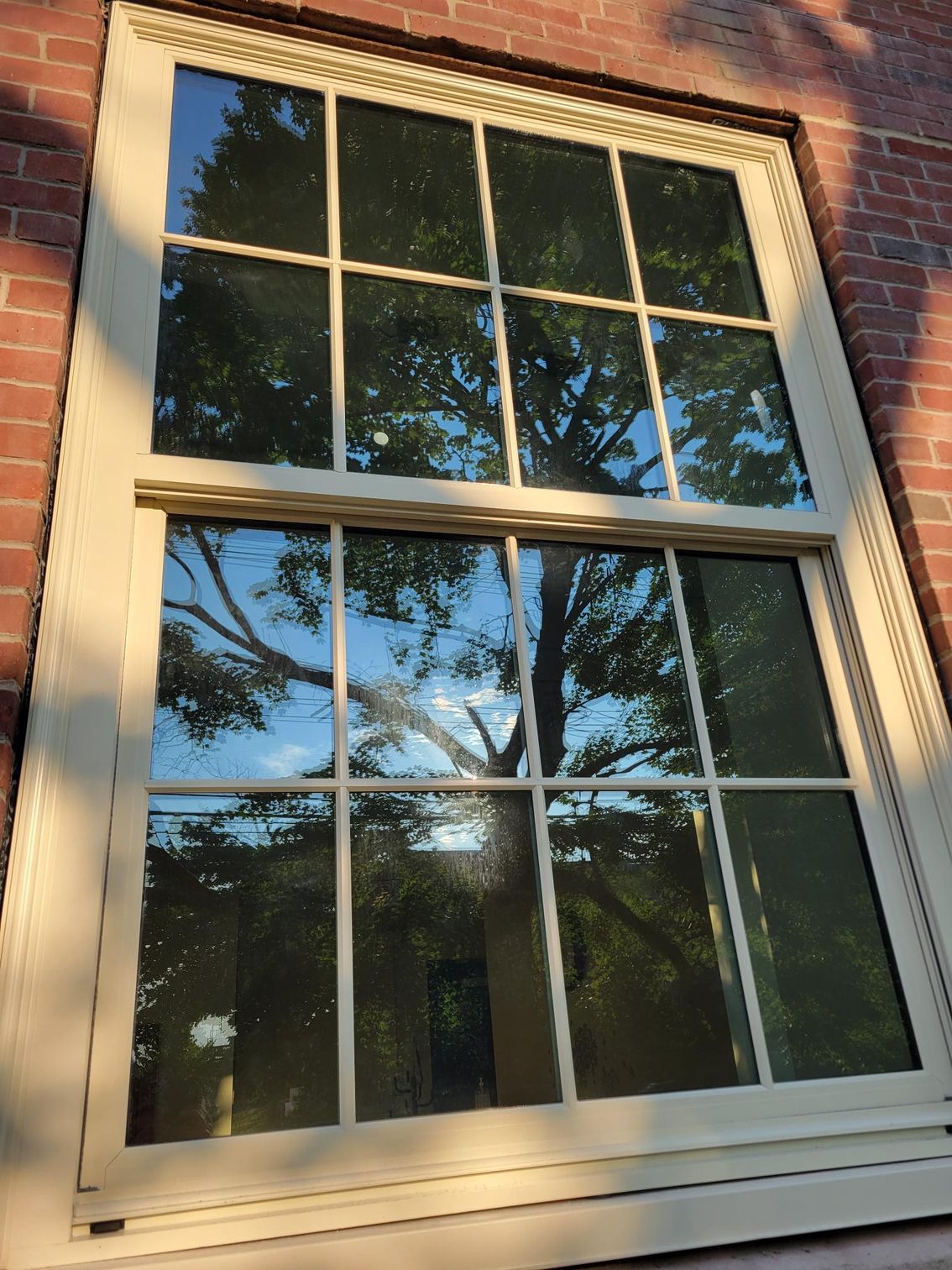 A large window on a brick building with trees reflected in the window.