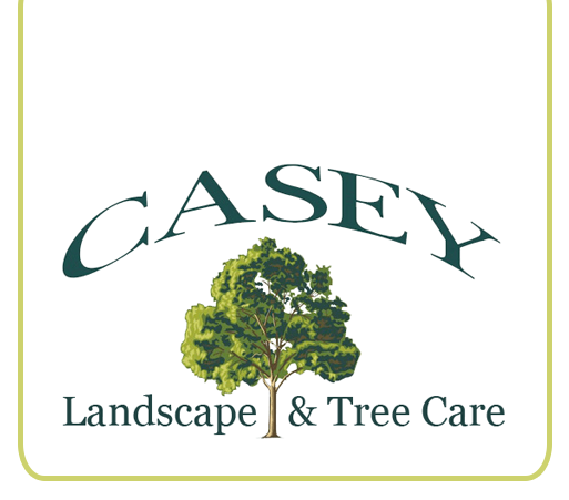 Casey Landscape nd Tree Care Inc - Logo