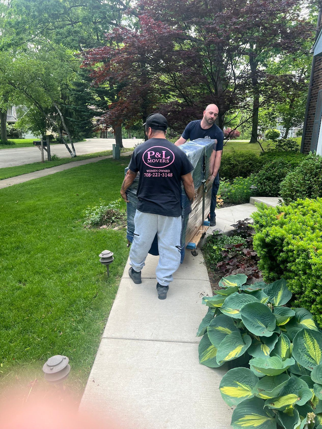 Two workers moving a large branch along a sidewalk beside a grassy yard and shrubs.