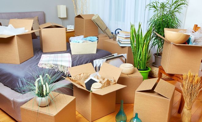 P & L Movers