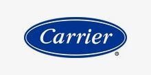 Carrier